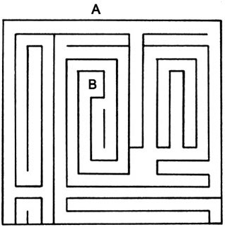 Hlavolamy. labirinta